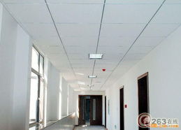 松江廠房裝修與吊頂隔墻工程服務解析